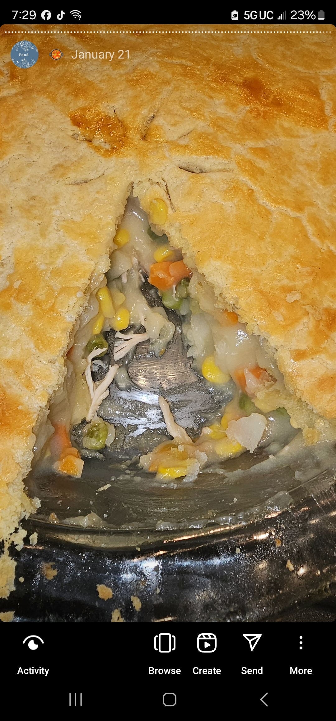 Sourdough Discard Chicken Pot Pie