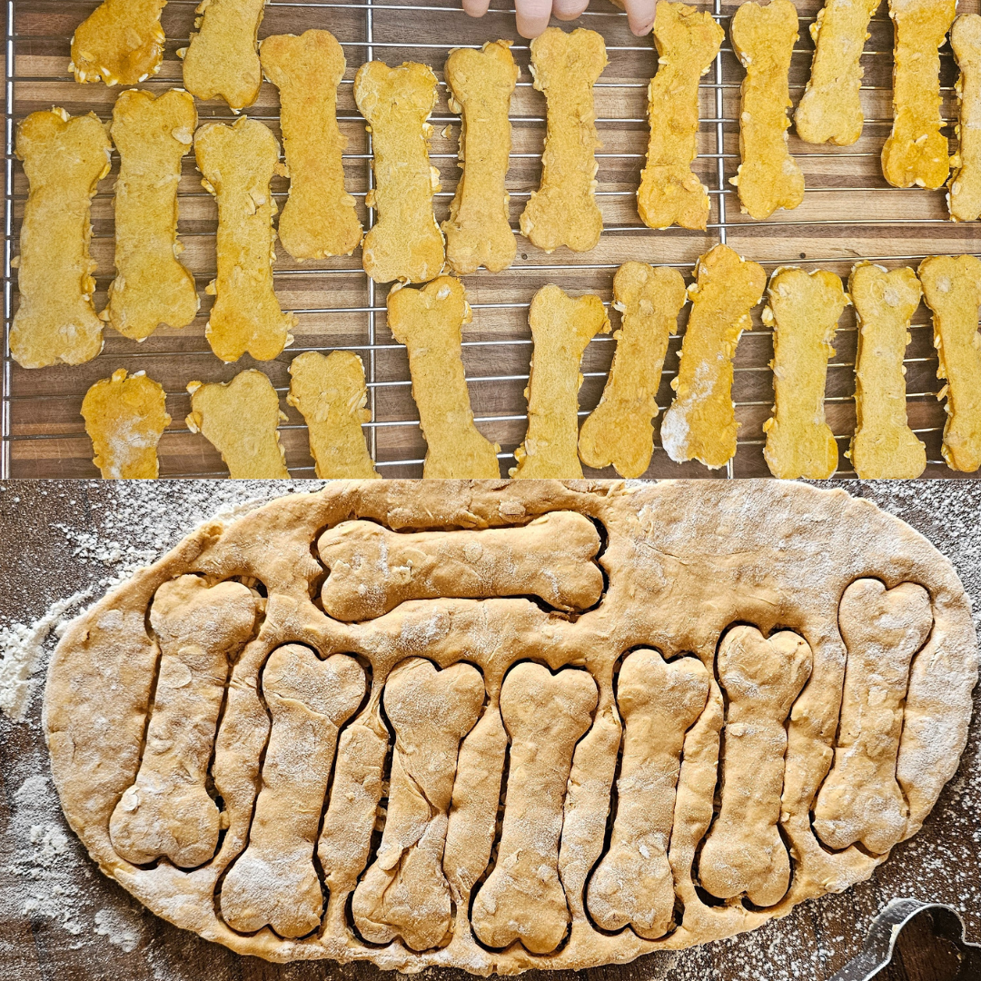 Sourdough Discard Dog Treats