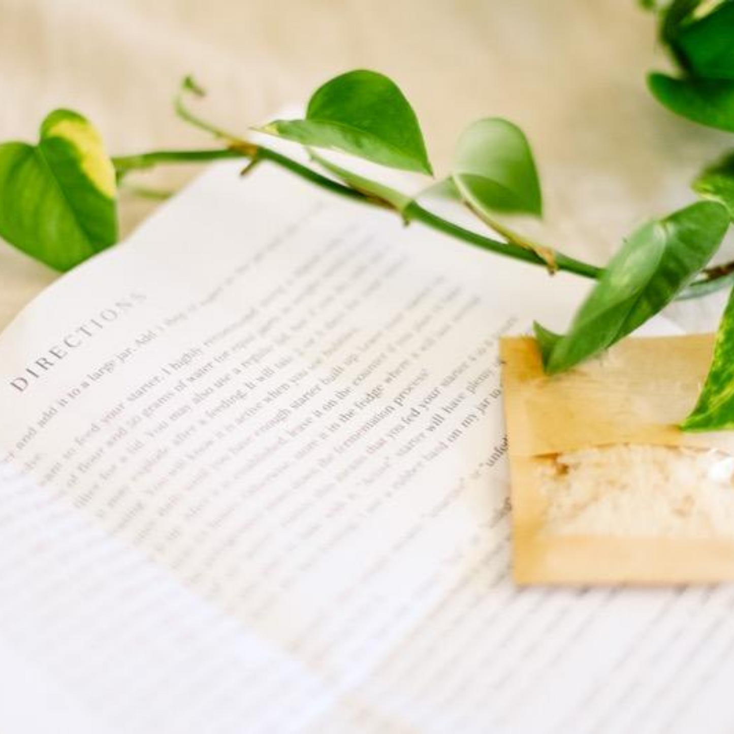 Dehydrated Sourdough Starter Kit