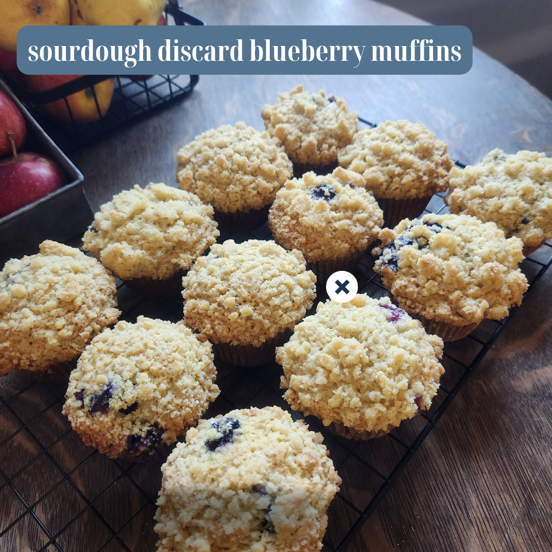 Sourdough Discard Blueberry Muffins with Crumb Coating